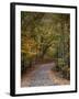 Autumn Passage 5-Jai Johnson-Framed Photographic Print