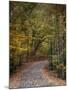 Autumn Passage 5-Jai Johnson-Mounted Photographic Print