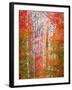 Autumn Passage-Elizabeth Carmel-Framed Photographic Print