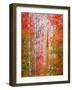 Autumn Passage-Elizabeth Carmel-Framed Photographic Print