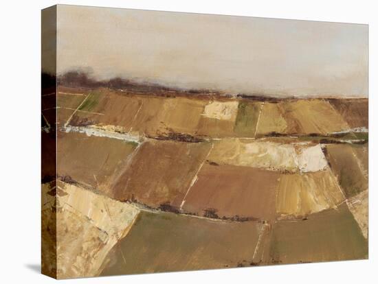 Autumn Pasture I-Ethan Harper-Stretched Canvas