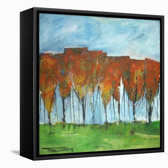 Autumn Patchwork-Tim Nyberg-Framed Stretched Canvas