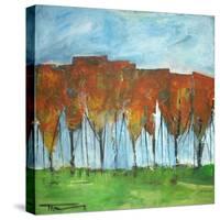 Autumn Patchwork-Tim Nyberg-Stretched Canvas