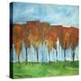 Autumn Patchwork-Tim Nyberg-Stretched Canvas