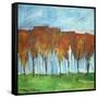 Autumn Patchwork-Tim Nyberg-Framed Stretched Canvas