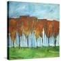 Autumn Patchwork-Tim Nyberg-Stretched Canvas