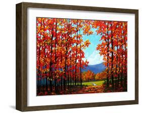 Autumn Path IV-Patty Baker-Framed Art Print