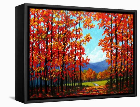 Autumn Path IV-Patty Baker-Framed Stretched Canvas