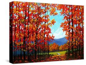 Autumn Path IV-Patty Baker-Stretched Canvas