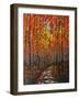 Autumn Path IX-Patty Baker-Framed Art Print