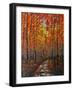 Autumn Path IX-Patty Baker-Framed Art Print