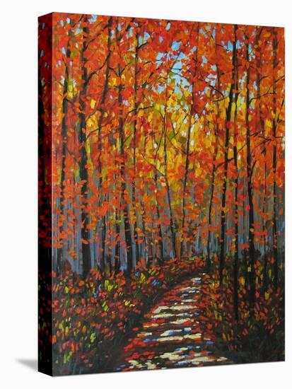 Autumn Path IX-Patty Baker-Stretched Canvas