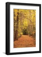 Autumn Path-Michael Hudson-Framed Giclee Print