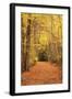 Autumn Path-Michael Hudson-Framed Giclee Print