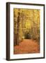 Autumn Path-Michael Hudson-Framed Giclee Print