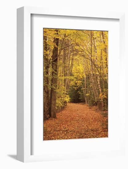 Autumn Path-Michael Hudson-Framed Art Print