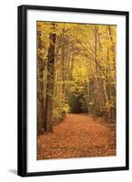 Autumn Path-Michael Hudson-Framed Art Print