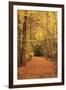 Autumn Path-Michael Hudson-Framed Art Print