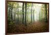 Autumn Path-Philippe Manguin-Framed Photographic Print