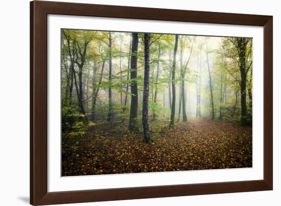 Autumn Path-Philippe Manguin-Framed Photographic Print