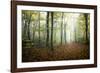 Autumn Path-Philippe Manguin-Framed Photographic Print