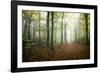 Autumn Path-Philippe Manguin-Framed Photographic Print