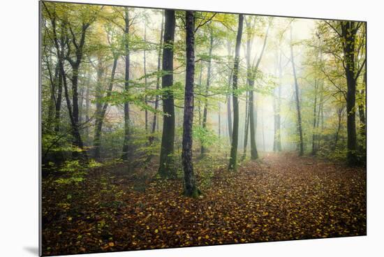 Autumn Path-Philippe Manguin-Mounted Photographic Print