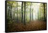 Autumn Path-Philippe Manguin-Framed Stretched Canvas