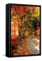 Autumn Pathway-Alan Hausenflock-Framed Stretched Canvas