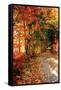 Autumn Pathway-Alan Hausenflock-Framed Stretched Canvas