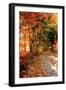 Autumn Pathway-Alan Hausenflock-Framed Premium Photographic Print