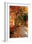 Autumn Pathway-Alan Hausenflock-Framed Premium Photographic Print