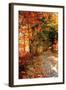 Autumn Pathway-Alan Hausenflock-Framed Photographic Print