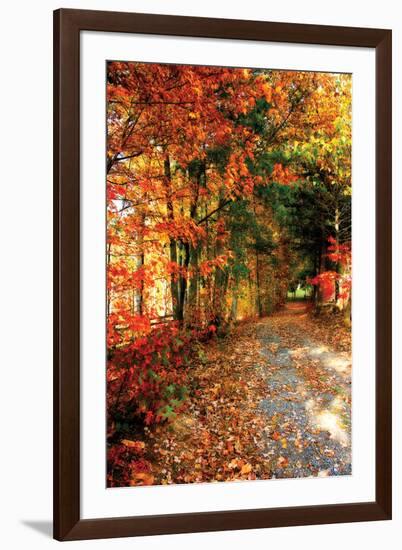 Autumn Pathway-Alan Hausenflock-Framed Photographic Print