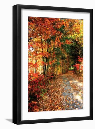 Autumn Pathway-Alan Hausenflock-Framed Photographic Print