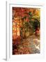 Autumn Pathway-Alan Hausenflock-Framed Photographic Print