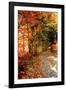 Autumn Pathway-Alan Hausenflock-Framed Photographic Print