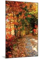 Autumn Pathway-Alan Hausenflock-Mounted Photographic Print