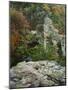 Autumn, Pinnacles Natural Area, Missouri, USA-Charles Gurche-Mounted Photographic Print