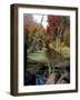 Autumn Pond-2-Gordon Semmens-Framed Giclee Print