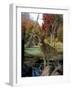 Autumn Pond-2-Gordon Semmens-Framed Giclee Print