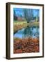 Autumn Pond Reflections, Calistoga, Napa Valley California-Vincent James-Framed Photographic Print