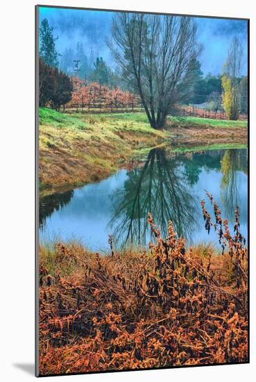 Autumn Pond Reflections, Calistoga, Napa Valley California-Vincent James-Mounted Photographic Print