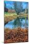 Autumn Pond Reflections, Calistoga, Napa Valley California-Vincent James-Mounted Photographic Print