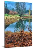 Autumn Pond Reflections, Calistoga, Napa Valley California-Vincent James-Stretched Canvas