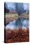 Autumn Pond Reflections, Calistoga Napa Valley-Vincent James-Stretched Canvas
