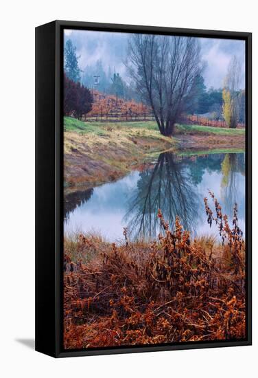 Autumn Pond Reflections, Calistoga Napa Valley-Vincent James-Framed Stretched Canvas