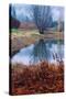 Autumn Pond Reflections, Calistoga Napa Valley-Vincent James-Stretched Canvas