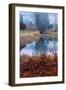 Autumn Pond Reflections, Calistoga Napa Valley-Vincent James-Framed Photographic Print