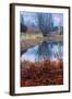 Autumn Pond Reflections, Calistoga Napa Valley-Vincent James-Framed Photographic Print